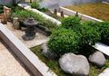 Taman Mungil Nuansa Jepang
