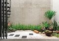 Taman Mungil di Lahan Samping yang Minim Perawatan. Ini dia Inspirasinya!