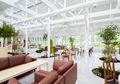 Taman Indoor yang Asri