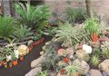 Taman Berpot yang Praktis