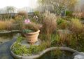 Mendesain Roof Garden