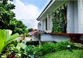 Dak disulap Menjadi Roof Garden, Kenapa Tidak?