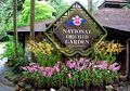 Surga Anggrek, The National Orchid Garden
