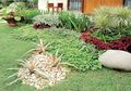 3 Inspirasi Taman Cantik Bertabur Batu Koral