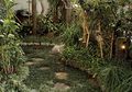 Rumput Kucai, Solusi Taman Minim Cahaya