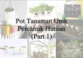 Pot Tanaman Unik Percantik Hunian (Part 1)