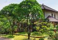 6 Penataan Taman Menurut Fengshui. Pagar Bambu Bagus Lho!