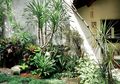 Indahnya Permadani Alami di Taman Anda