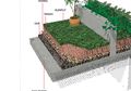 Membuat Roof Garden? Ini Caranya!