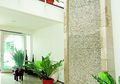 Memilih Pot untuk tanaman Indoor