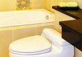 Membersihkan Kamar Mandi dengan Asam Sitrat