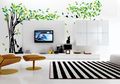 Perhatikan 6 Hal Ini Sebelum Memasang Wall Sticker
