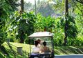 UHA Menjaga Keselarasan Alam