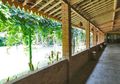 Kenali Masalah Atap Rangka Kayu