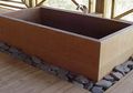 Bathtub "Penyembuh" Penyakit