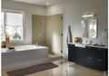 Delta Faucet : Debut di Indonesia