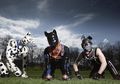 Man Dogs, Saat Ribuan Orang di Inggris Berubah Menjadi Manusia Anjing Demi Melarikan Diri dari Masalah