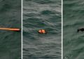 Mengais Potongan Informasi dari Puing-puing AirAsia QZ8501 yang Sudah Ditemukan