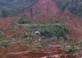 Pohon Aren, Alasan Selamatnya Satu Rumah dari Longsor Banjarnegara