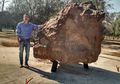 Gancendo Meteorite, Meteorit Seberat 30 Ton Ditemukan di Argentina