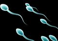 Sperma Memancar Deras Tanda Suburnya Seorang Pria?