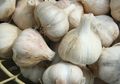 Jagalah Hati! Ini Dia Makanan-Makanan yang Dapat Membersihkan Hati Kita