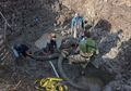 Penemuan Tulang Mammoth Berbulu di Ladang Kacang Kedelai