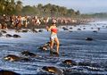 Saat Ratusan Wisatawan Menghalangi Penyu Laut yang Berjalan Menuju Sarang untuk Bertelur