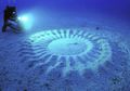 Kisah Pembuat Crop Circle Bawah Laut yang Tertangkap Basah