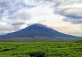 Menikmati Teh Hitam di Kaki Gunung Kerinci