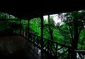 Mengisi Kembali Baterai Jiwa di Vila Botani