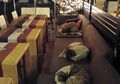 Cafe ini Dibuka Setiap Malam untuk Anjing-anjing yang Tersesat