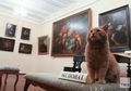 Maray, Kucing yang Jadi Pegawai Baru di Museum