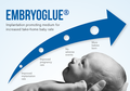 EmbryoGlue, Lem Khusus untuk Menempelkan Embrio di Rahim Ibu