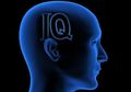 Ini Dia Empat Manusia dengan IQ Tertinggi di Dunia