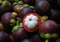 Manggis, Sang Ratu Buah Tropis Nan Eksotik Asli Indonesia yang Bikin Orang Inggris Tergila-gila
