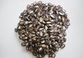 Tips Diet Mencegah Arthritis
