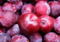 Manfaat Buah Plum Untuk Tulang