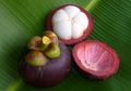 Buah-buahan Eksotik