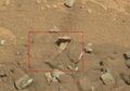 Benarkah Ada Tulang Manusia Di Mars?