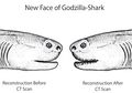 Hiu Godzilla si Monster Laut Purba