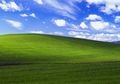 Penyesalan Sang Fotografer Wallpaper Windows XP yang Legendaris
