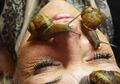Tren Baru Perawatan Wajah: 'Snails Facial' alias 'Facial' Bekicot