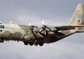 Keterlaluan, 797 Minuman Keras Vodka Diselendupkan ke Papua Gunakan Hercules TNI AU