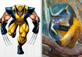 Monyet Mona yang Wujudnya Sangat Mirip dengan Wolverine
