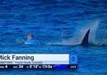 Mick Fanning, Bertempur Melawan Serangan Hiu saat Mengikuti Kejuaraan Selancar Dunia di Afrika Selatan