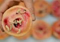 Terapi Belatung Pengganti Antibiotik