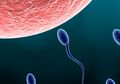 Cara Mengatasi Sperma Encer