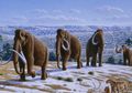 Mammoth Hidup Lagi?