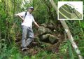 Situs Gunung Padang (9): Ukurannya Dahsyat!